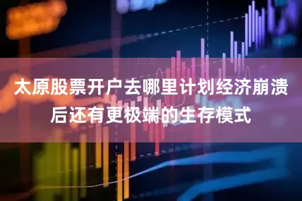 太原股票开户去哪里计划经济崩溃后还有更极端的生存模式