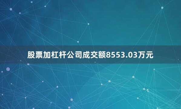 股票加杠杆公司成交额8553.03万元